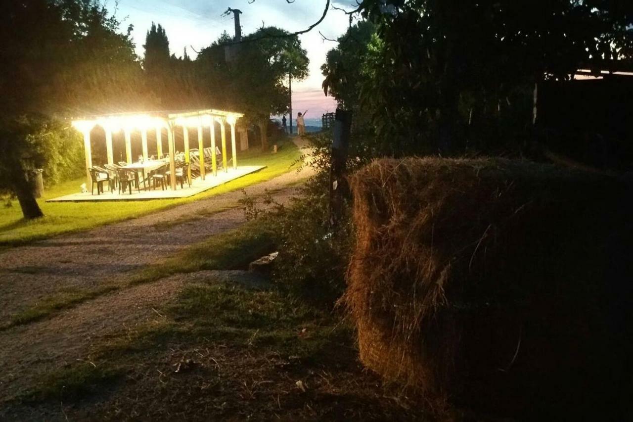 Piccolo Casale A "Le Moline" In Una Vera Fattoria Vetralla Exteriör bild