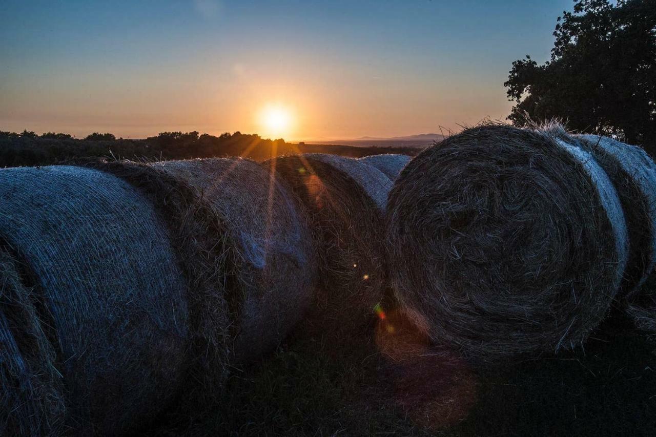 Piccolo Casale A "Le Moline" In Una Vera Fattoria Vetralla Exteriör bild